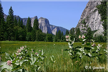 Blick auf die Cathedral Rocks